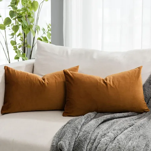 Vista 52 de Juego de 2 fundas de almohada decorativas de terciopelo de 14 x 14 pulgadas con cremallera, fundas de cojín cuadradas suaves y lisas de lujo