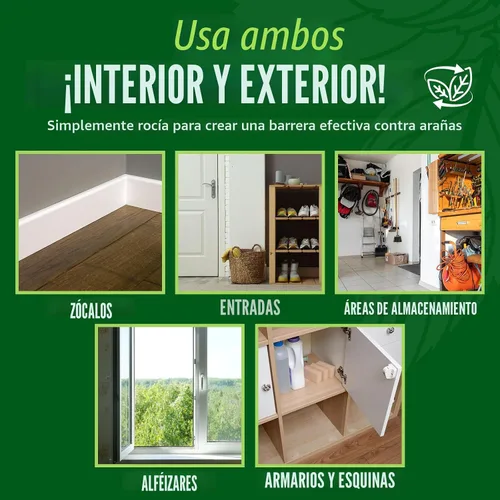Vista 5 de Spray repelente de arañas con aceite de menta de Mighty Mint – Control natural de insectos para interiores y exteriores para arañas e insectos