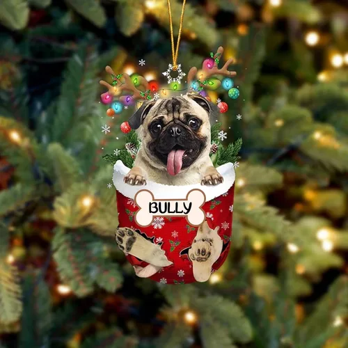Vista 15 de IZI POD Affenpinscher Adorno de Navidad personalizado para perro, adorno de bolsillo de nieve para perro para árbol de Navidad, adorno acrílico