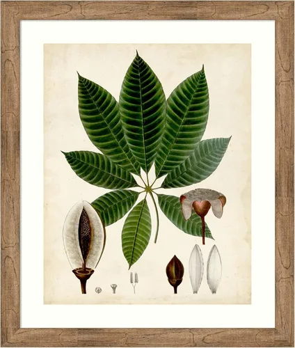 Vista 11 de Amanti Art Vision Studio - Lienzo decorativo para pared, 24 x 20 pulgadas, follaje verde VII por Vision Studio, arte de pared de naturaleza