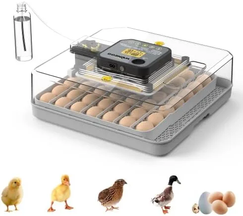 Vista 10 de Incubadora de 56 huevos con giro automático de huevos y control de humedad, visualización de 360°, incubadora de pollo para incubar huevos de pato