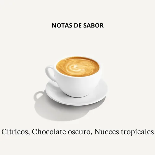 Vista 4 de Mt. Comfort Coffee Costa Rica tostado medio, 2.5 libras, procedente de granjas de café locales y costarricenses, grano entero tostado