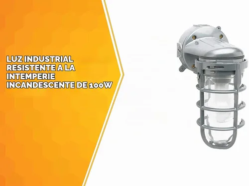 Vista 2 de Woods L1707SV Luz industrial incandescente tradicional de 150 W, con soporte para pared, plateada, grande