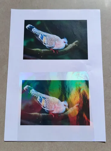 Vista 4 de 25 hojas tamaño A4 de lámina laminadora holográfica transparente en frío, superposición premium, láminas autoadhesivas