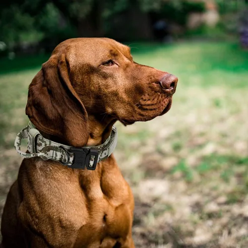 Vista 6 de Collar táctico para perro, collar de entrenamiento militar ajustable de nailon para perro con mango de control y hebilla de metal pesado de Marrón