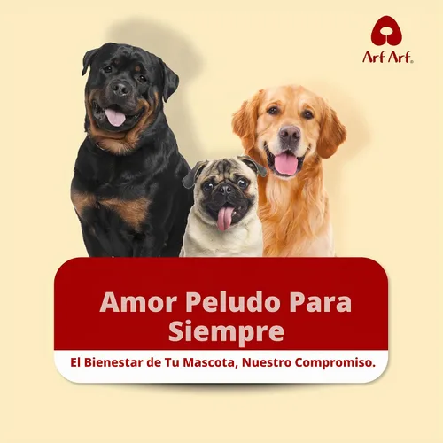 Vista 9 de Arf Arf Champú para perros de piel sensible – Avena y litospermum, picazón, 16.9 oz