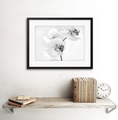Vista 2 de FOTO NATURALEZA PLANTA ORQUIDEA FLOR NEGRO BLANCO MARCO IMPRESIÓN F12X4368