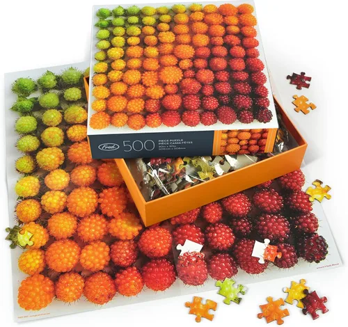 Vista 3 de Genuine Fred SALMONBERRIES by Emily Blincoe, rompecabezas de 500 piezas, 20x20 pulgadas