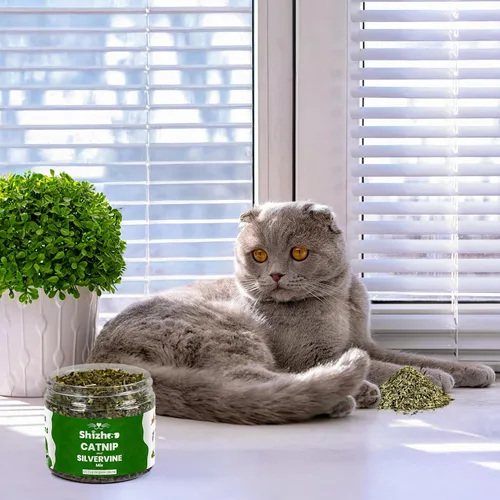 Vista 8 de Mezcla de vid plateada de hierba gatera para gatos y gatitos, fórmula no tóxica recién seca y de estimulación dual, neblina orgánica de vid plateada