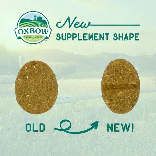 Vista 6 de Oxbow Suplemento de ciencia natural para piel y pelaje, alto en fibra, aceite de palma, ácidos grasos Omega 3 y 6 para animales pequeños, 4.2 onzas