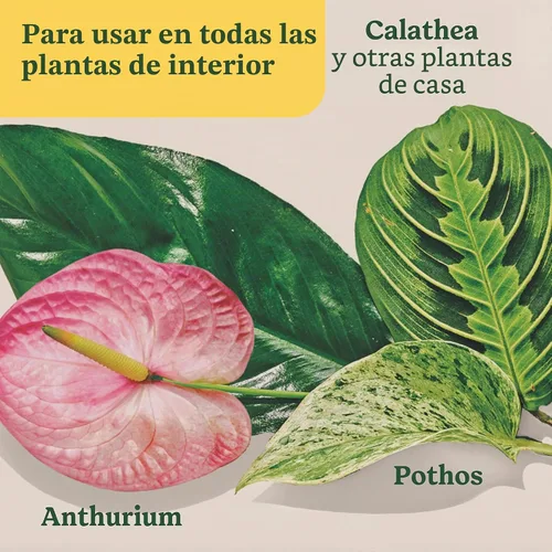 Vista 9 de Miracle-Gro Picos de alimentos para plantas de interior para todas
