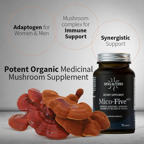 Vista 2 de HIFAS DA TERRA Mico-Five - Cápsulas complejas de hongos - Suplemento de apoyo inmunológico - Mezcla de extracto de Reishi, shiitake, maitake, chaga
