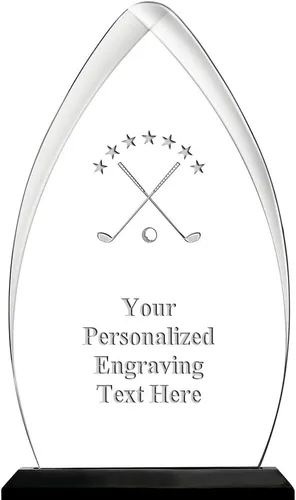 Vista 38 de Crown Awards Premio acrílico personalizado de 9.25 pulgadas de Gateway Skyline