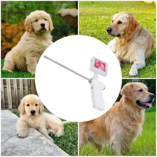 Vista 7 de Kit de inseminación artificial para perros, pistola de inseminación visual para ganado, pantalla ajustable, rotación de 360°, instrumento
