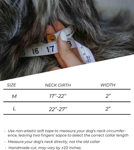 Vista 6 de Collar de perro para perros grandes, collares negros de 2 pulgadas con asa para perros de raza extragrande, collar táctico de nailon K9 resistente