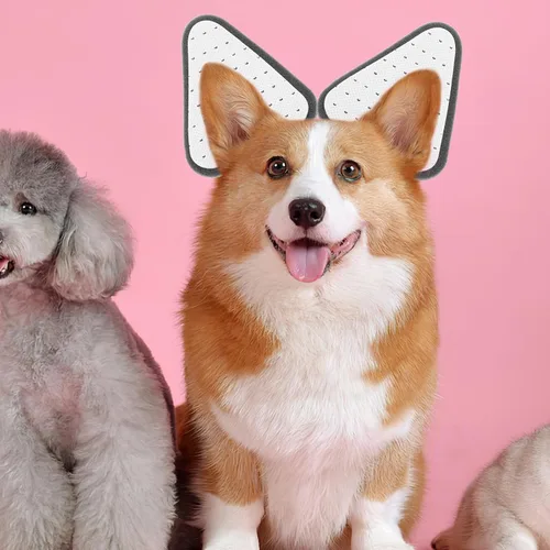 Vista 6 de POPETPOP Kit de soporte para orejas de perro con pegamento para corrección de orejas de cachorro, herramienta de publicación ajustable para pastor