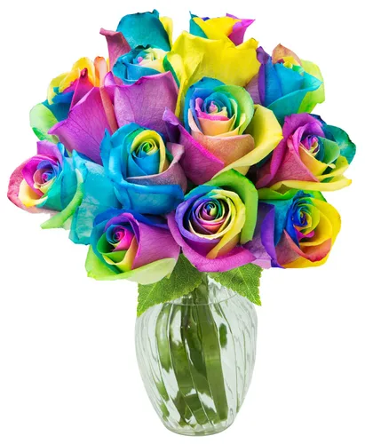 Vista 8 de KaBloom - Rosas arcoíris (media docena)- Flores frescas para cumpleaños, San Valentín y Día de la Madre
