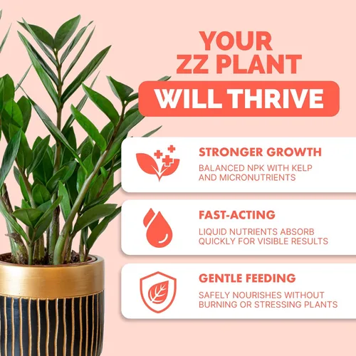 Vista 2 de ZZ Fertilizante para plantas – Alimento líquido para plantas para hojas verdes brillantes, raíces más fuertes y un nuevo crecimiento saludable, 8