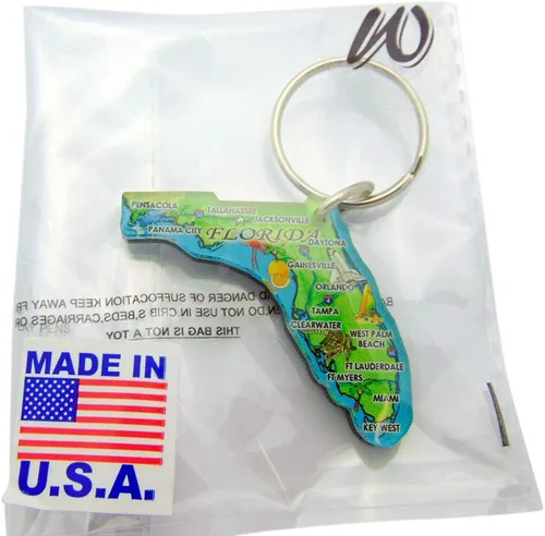 Vista 3 de Florida Llavero acrílico recuerdo mapa de estado retro regalo 2 pulgadas