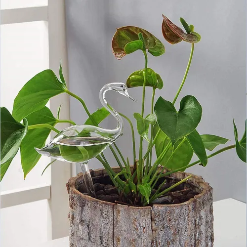 Vista 2 de Bombillas de riego para plantas, globos de riego automático, agua de vidrio soplado a mano. Paquete de 2 cisnes