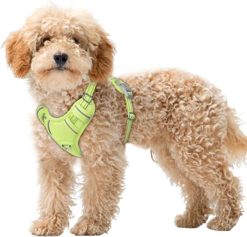 Vista 40 de BARKBAY Arnés para Perro Sin Tirones Talla Grande Arnés Reflectante para Perro con Clip Frontal y Asa de Control Fácil para Caminar Entrenar Correr