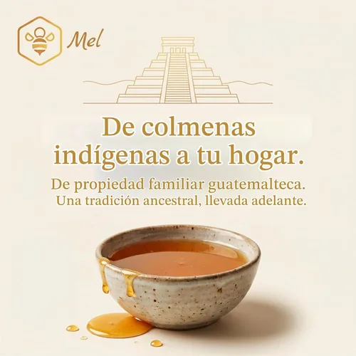 Vista 3 de Miel Melipona Miel de Abeja Sin Aguijón (10 ML)