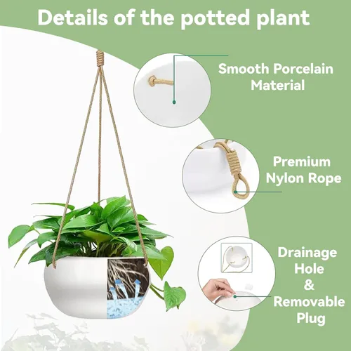 Vista 4 de Macetas colgantes de cerámica para plantas de interior y exterior, maceta moderna de 8 pulgadas, cesta redonda de porcelana con soporte para plantas