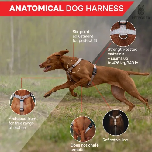 Vista 2 de Anatomically Correct - Arnés para perro en forma de Y, no restrictivo, sin tirones, ajustable de 6 puntos para movimiento natural, a prueba