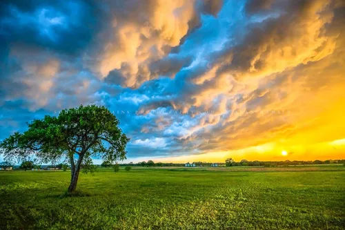 Vista 7 de Sky Photography Print (Not Framed) Picture of Colorful Storm Clouds Over Lone Tree at Sunset on Stormy Evening in Texas Country Wall Art Nature