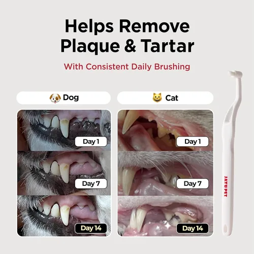 Vista 3 de JAYU PET Cepillo de Cuidado Dental (Cerdas de Borde) 1 unidad - Cepillo de Dientes para Perro con Cabeza Micro Redonda, Cepillo de Dientes