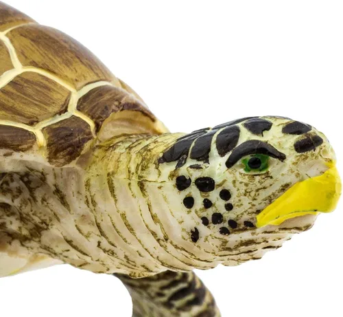 Vista 7 de Safari Ltd. Loggerhead - Figura de tortuga pintada a mano, realista de 3.75 pulgadas, juguete educativo para niños, niñas y niños a partir de 3 años