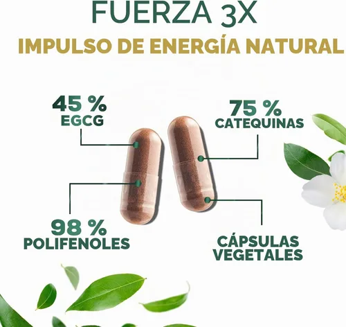 Vista 3 de PureTea - Píldoras de extracto de té verde de 1000 mg con EGCG – 98% de polifenoles estandarizados – Cápsulas de té verde de absorción 3X