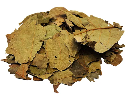 Vista 4 de Hojas de té de aguacate Infusión de hierbas Hojas de Aguacate Te Value Pack (2.65 oz) 100% natural sin cafeína