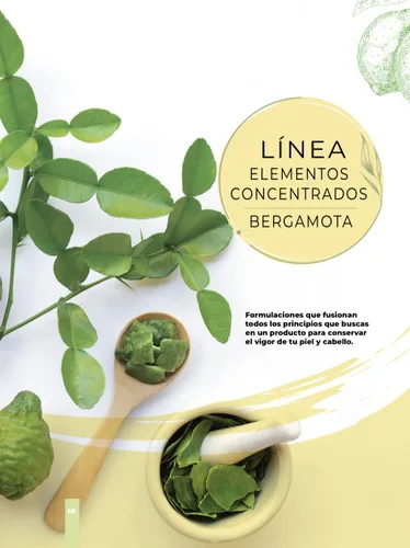 Vista 2 de Champú para el crecimiento del cabello Bergamota 1lt. Florigan (1 unidad)
