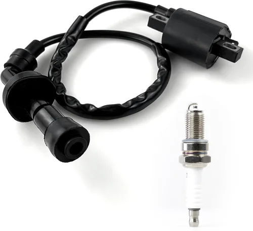 Vista 7 de 3YF-82370-00-00 Bujía de bobina de encendido para Yamaha Grizzly 660 YFM660 2002-2008 Rhino 660 YXR660 2004-2007 Raptor 660R YFM660 2001-2005