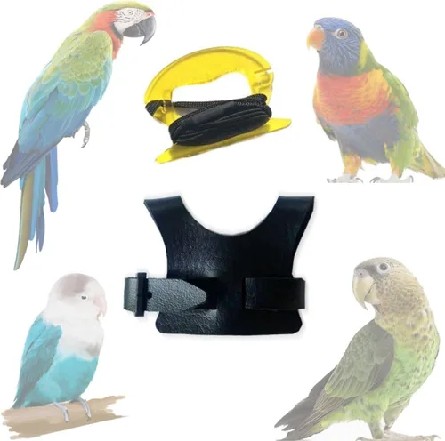 Vista 5 de Chaleco de arnés de vuelo de pájaro, traje de vuelo de loro con correa para periquitos, cacatúas, conures budgies, ropa de vuelo de pájaros