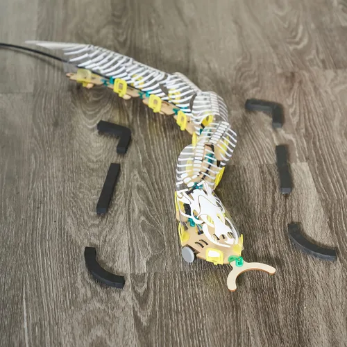 Vista 5 de KiwiCo - Robot de serpiente a control remoto, kit de construcción