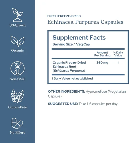 Vista 2 de Eclectic Institute Raíz de purpurea de equinácea no transgénica fresca y liofilizada Apoyo inmunológico 90 CT (360 mg)