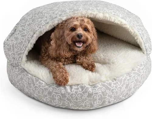 Vista 46 de Snoozer Cama de lujo de microsuede acogedora estilo cueva para mascotas, pequeña, antracita For small sized pets, Removable washable cover