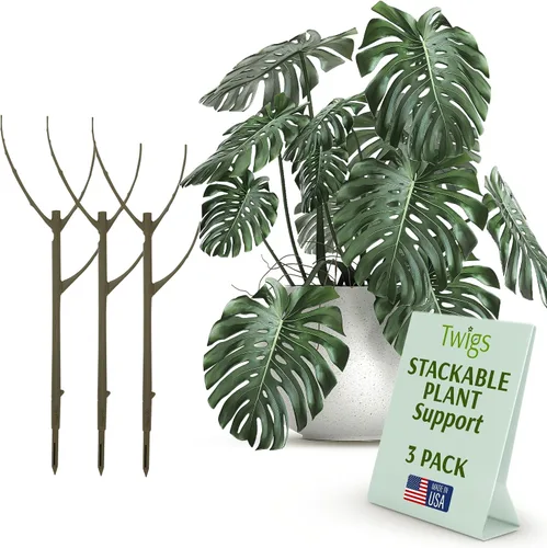 Vista 11 de Estacas de soporte para plantas para uso en interiores y exteriores, alternativa duradera de enrejado para plantas trepadoras y en maceta