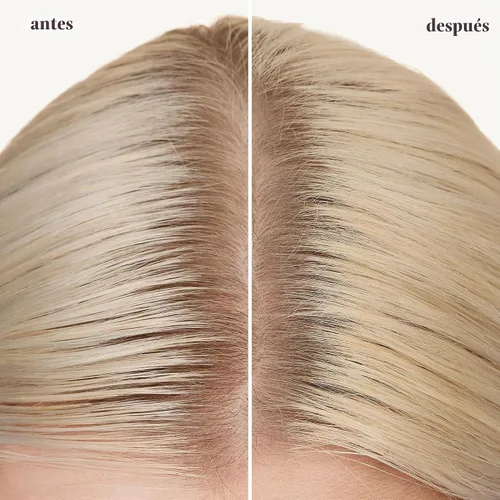 Vista 6 de Pureology Champú Style + Protect Refresh & Go Dry Para cabello teñido Vegano