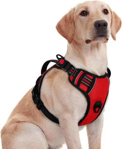 Vista 16 de rabbitgoo Arnés para perro de tamaño pequeño, arnés para mascotas sin tirones con mango acolchado suave, chaleco reflectante ajustable con 3