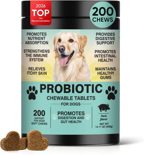Vista 10 de Probióticos para perros Salud digestiva intestinal Probióticos masticables