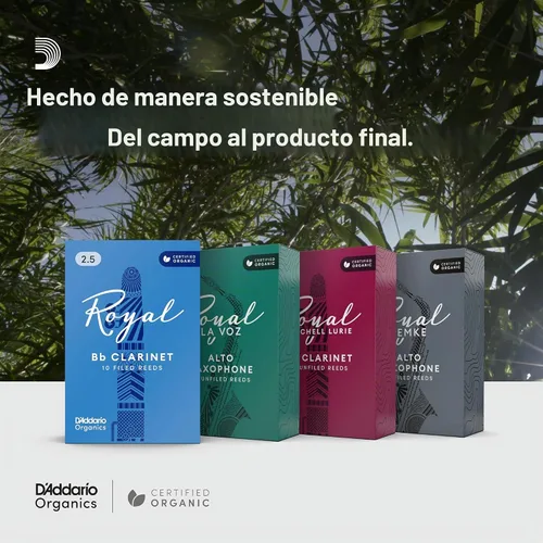 Vista 6 de Rico Royal cañas para clarinete Bb, 2.5