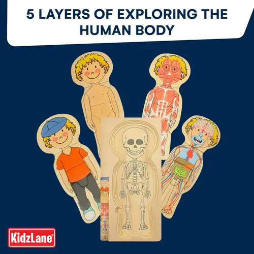 Vista 10 de Kidzlane Boy Wooden My Body Puzzle for Toddlers & Kids - 29 Piece Boys Anatomy Puzzle Kid Play Set - Anatomy for Kids, Skeleton Toys for Children
