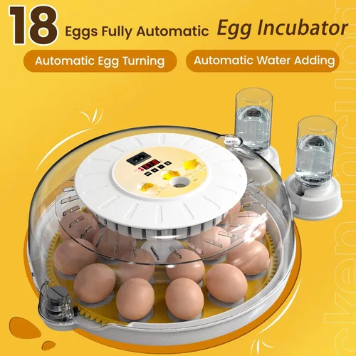 Vista 2 de 18 incubadoras de huevos para incubar huevos, volteador automático de huevos y probador de velas de huevos, vista de 360 grados, incubadora
