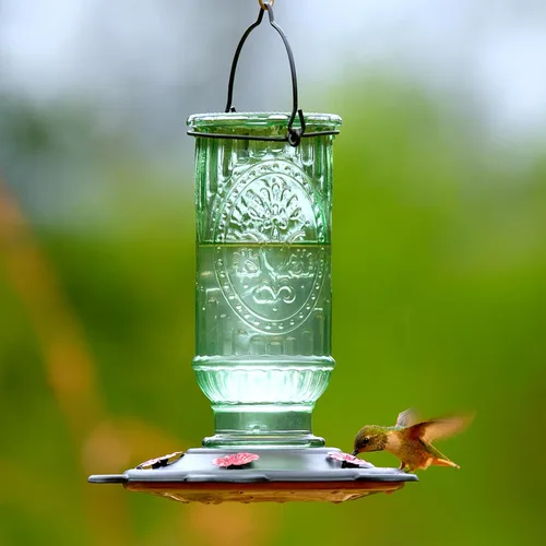 Vista 7 de More Birds Comedero de vidrio vintage para colibríes, capacidad de néctar de 20 onzas