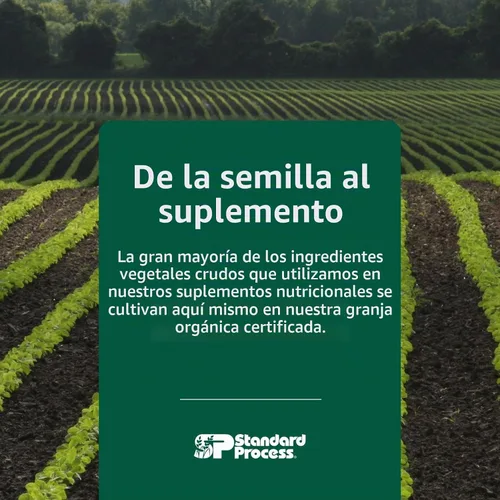 Vista 7 de Standard Process - Suplemento de apoyo inmunológico para niños, 60 obleas