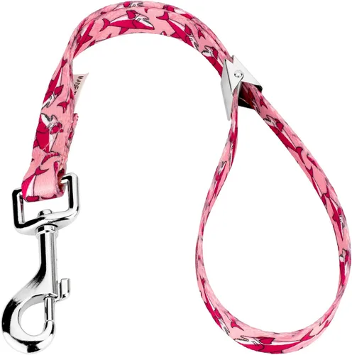 Vista 22 de Country Brook Petz Dog & Pet - Bucle de aseo de 5/8 pulgadas con clip cargado por resorte, 18 diseños únicos para mesas de aseo y veterinarios