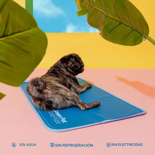 Vista 4 de The Green Pet Shop Cool Pet Pad – Extra pequeña, azul – Auto-refrigerante, alfombrilla activada por presión para perros y gatos de 0 a 8 libras